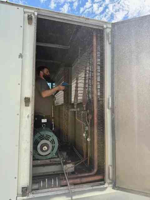 Alpine Back of Truck