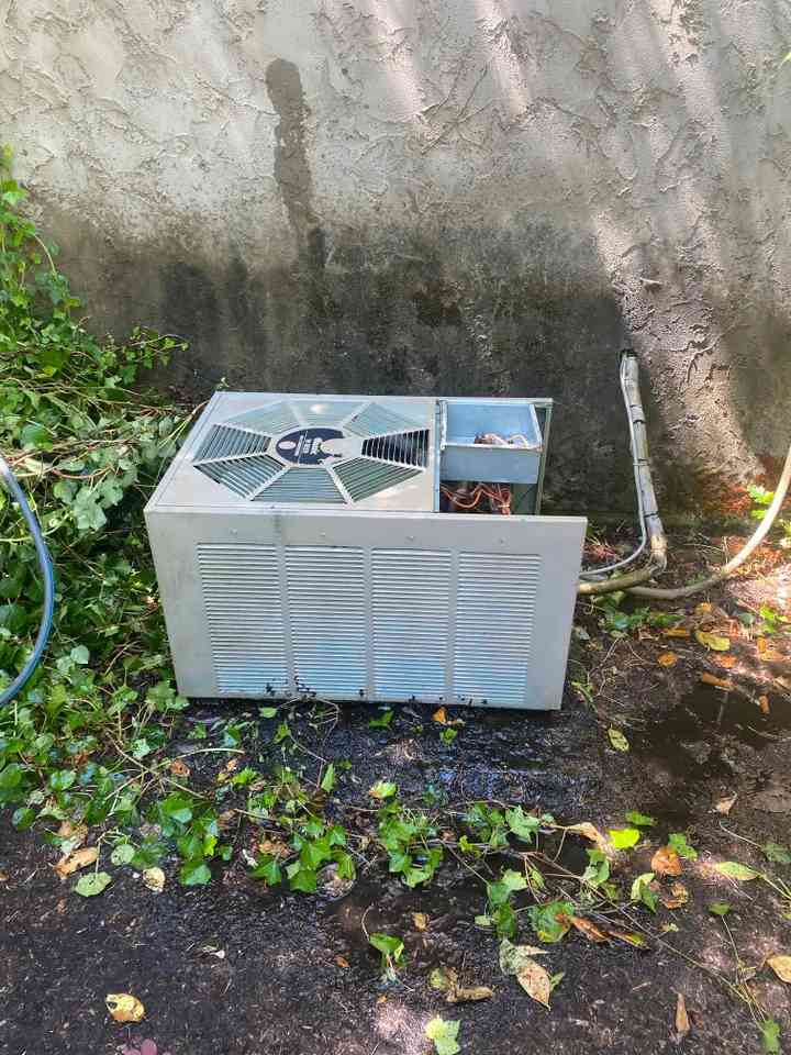 Overgrown Unit Cleaned